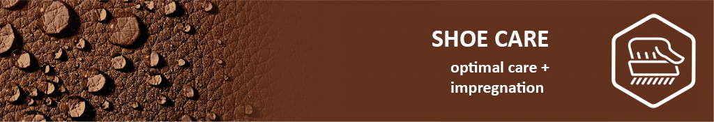 Banner-ShoeCareEN